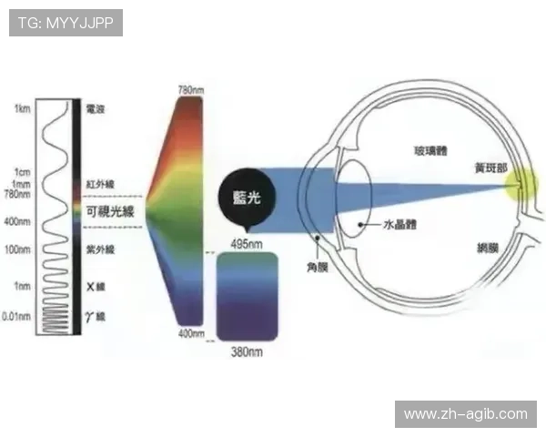 篮球战术中“短时间高频换防机制”是否需配套一定体能与沟通训练 篮球战术中“短时间高频换防机制”是否需配套一定体能与沟通训练