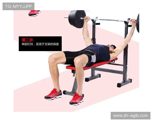 按照运动功能区分健身器材类型及锻炼部位归类