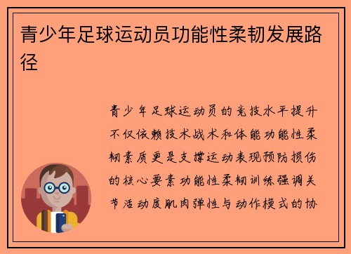 青少年足球运动员功能性柔韧发展路径